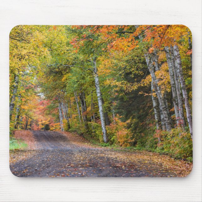Leaf-Straße mit Herbstfarbe Mousepad (Vorne)