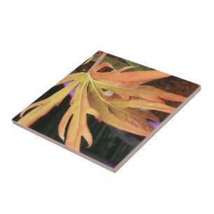 Leaf-Studie 2 Fliese