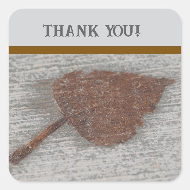 Leaf thank you quadratischer aufkleber (Vorderseite)