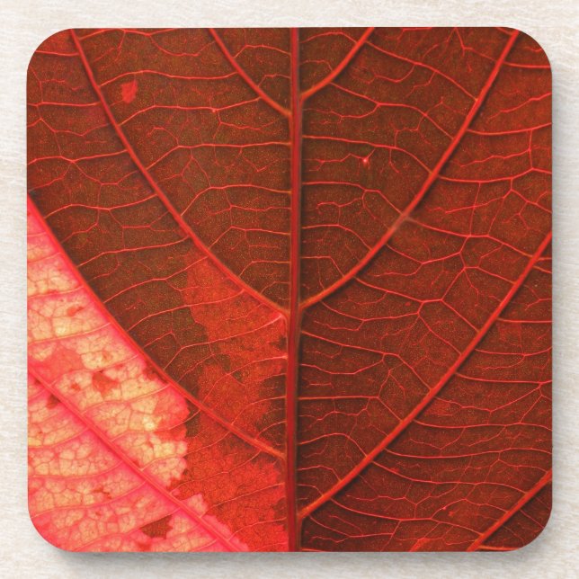 Leaf Untersetzer (Vorderseite)