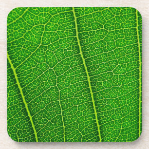 Leaf Untersetzer