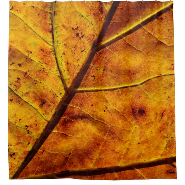 Leaf-Venen fallen Textur Duschvorhang (Vorderseite)