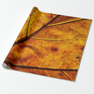 Leaf-Venen fallen Textur Geschenkpapier