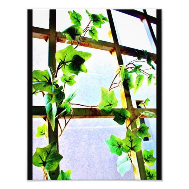 Leaf View Fotodruck (Vorne)