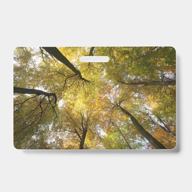 Leafy Canopy Ausweis (Vorderseite)
