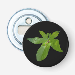 "Leafy Haven: Ein kleiner grüner Frosch auf einem  Flaschenöffner
