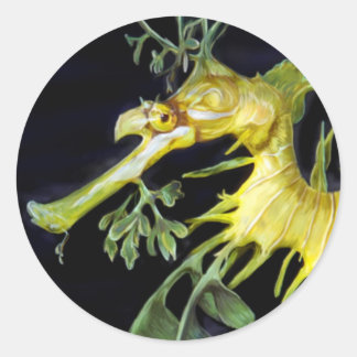 Leafy Sea Dragon Runder Aufkleber