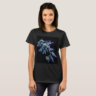 Leafy Sea Dragon T-Shirt