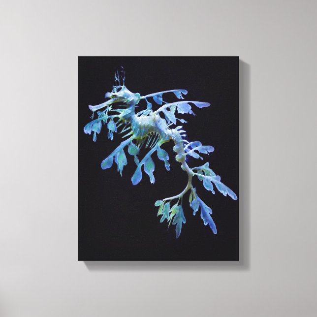Leafy Sea Dragon Wrapped Canvas Print Leinwanddruck (Vorderseite)