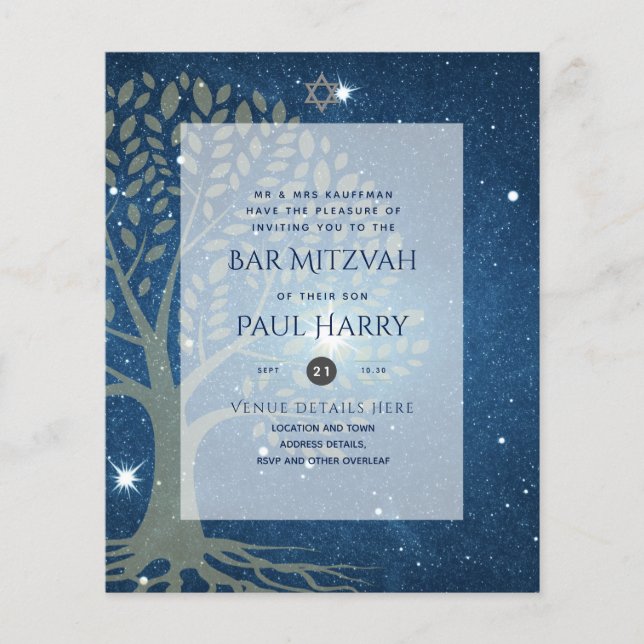 Leah G Elegant Chic Bar Mitzvah Jüdische Torah Chi Flyer (Vorne)