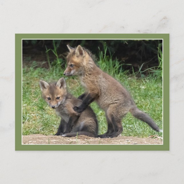 Lean an mir postkarte (Vorderseite)