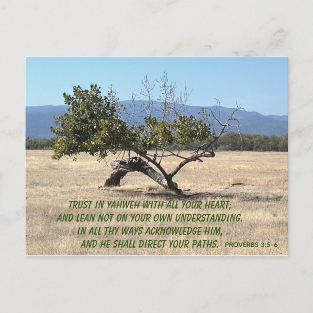 Lean Not on your own Understanding Postkarte (Vorderseite)