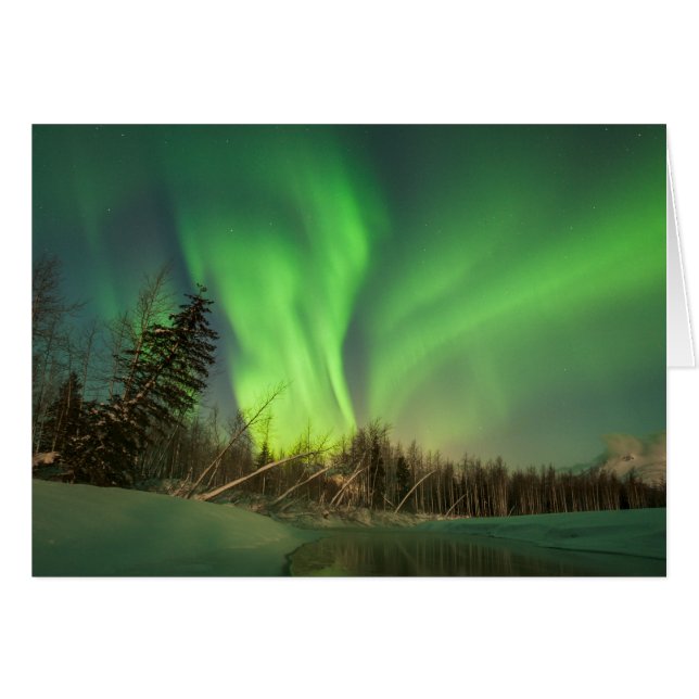 Leaning Spruce Aurora (Vorderseite (Horizontal))