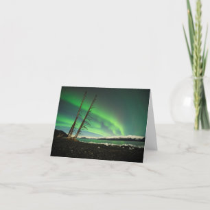 Leaning Tree Aurora Karte