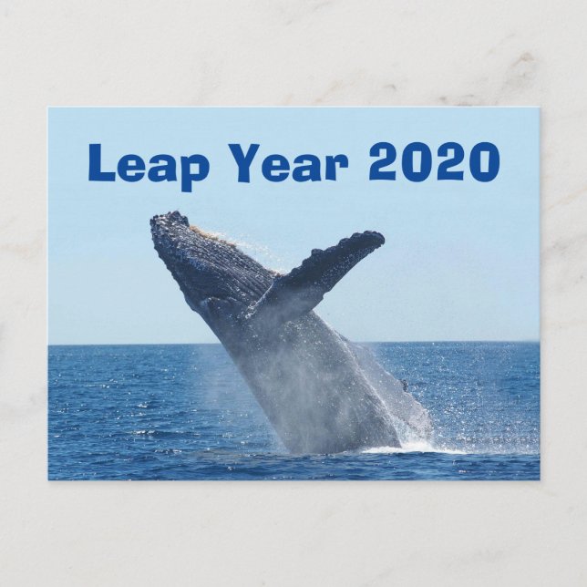 Leap Year 2020 Postkarte (Vorderseite)