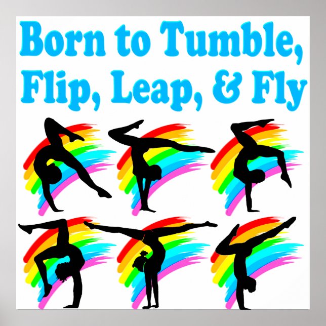 LEAPGYMNAST POSTER (Vorne)