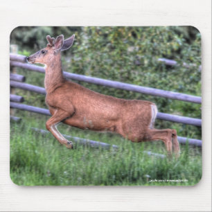 Leaping Deer Buck auf Ranch Wildlife Foto Mousepad