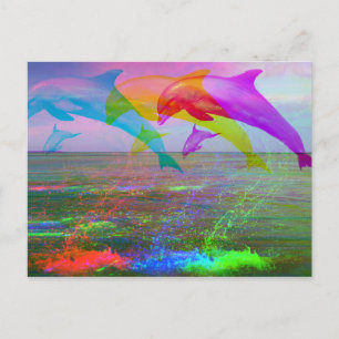 Leaping dolphins rainbow postkarte