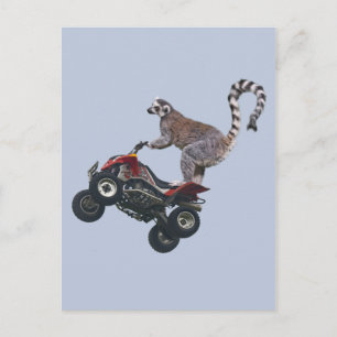 Leaping Lemur Postkarte