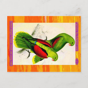 Lear. Der geplagte Paraket. Weibliche und junge Mä Postkarte