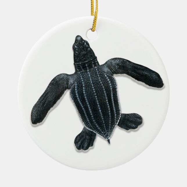 Leatherback-Meeresschildkrötehatchlings-Verzierung Keramikornament (Vorne)