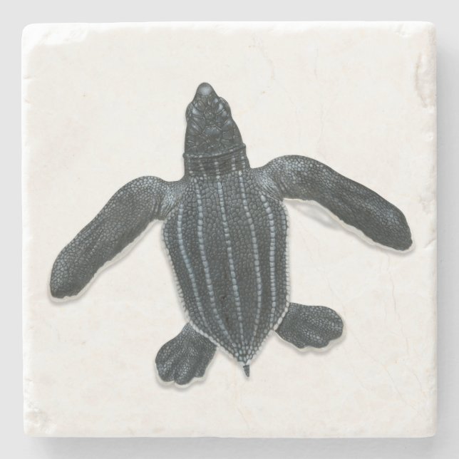 Leatherback-Seeschildkröte-Stein-Untersetzer Steinuntersetzer (Vorderseite)