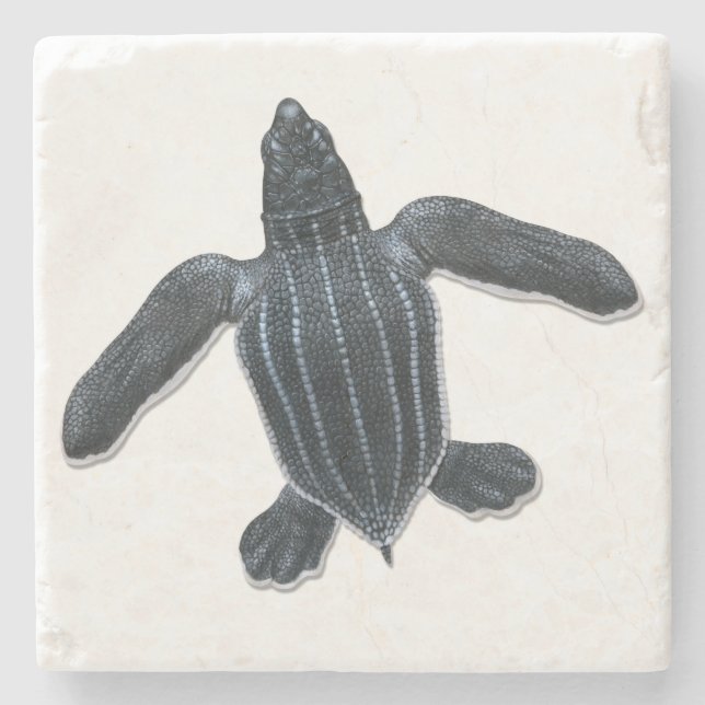 Leatherback-Seeschildkröte-Stein-Untersetzer Steinuntersetzer (Vorderseite)