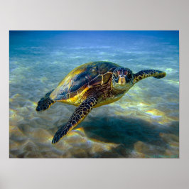 Leatherneck Sea Turtle Print Poster