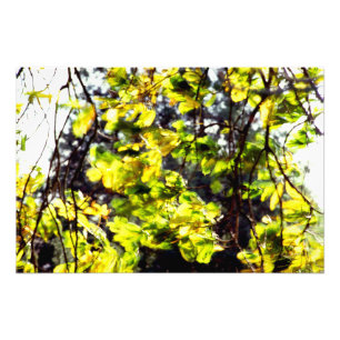 Leaves Blowing im Wind Fotodruck