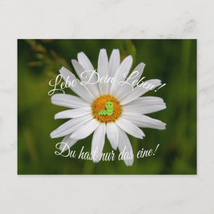 Lebe Dein Leben! Du hast nur das eine! Postkarte