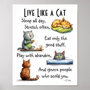 Lebe wie eine Katze Humorvolle Cartoon-Wandkunst Poster