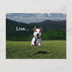 "Lebe wie jemand, der das Tor offen Verlassen hat" Postkarte