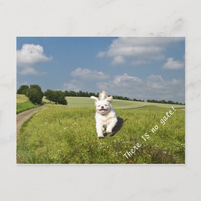 "Lebe wie..." Postcard Buddhist (Matrix) Version! Postkarte (Vorderseite)