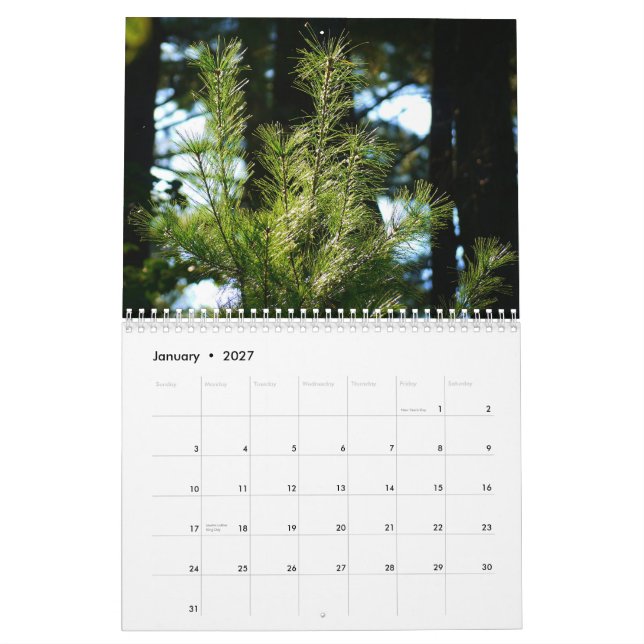 Leben 2015 um uns Kalender (Jan 2027)