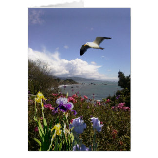 Leben an den Küsten