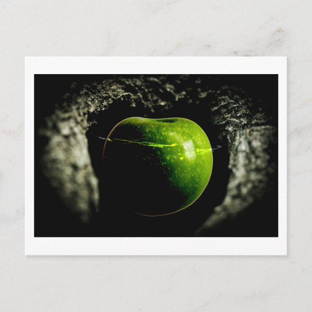 Leben auf dem Apfel Postkarte (Vorderseite)