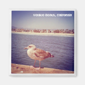 Leben einer Möwe Magnet