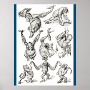 Leben eines jungen Orangutan Poster