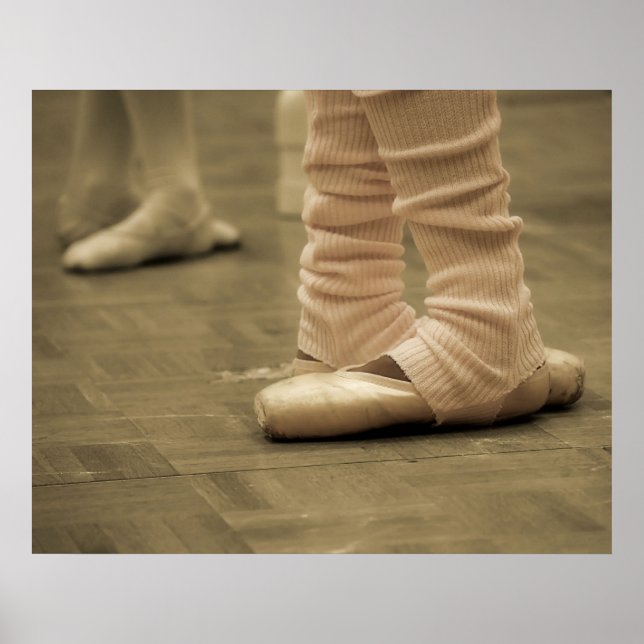 Leben eines Tänzerposters Poster (Vorne)