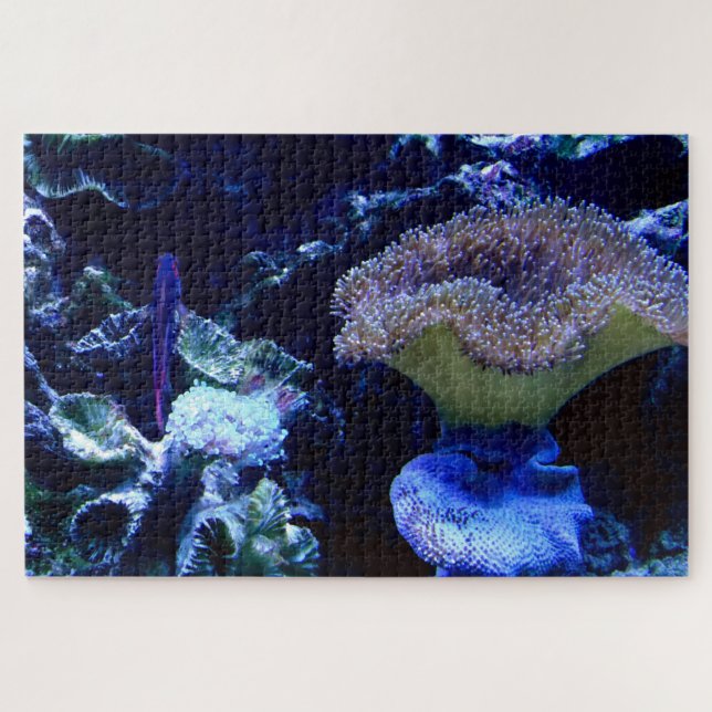 Leben im Aquarium Puzzle (Horizontal)