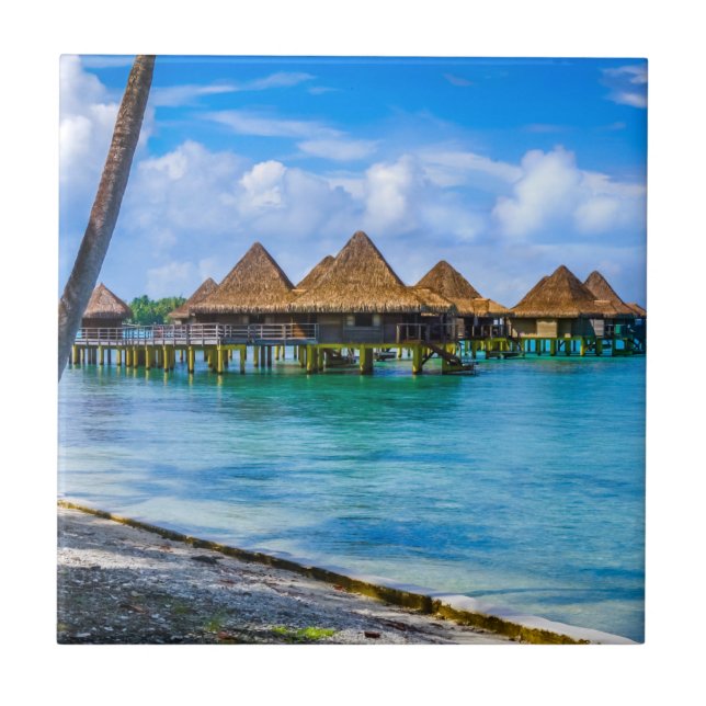 Leben im Wasser Fliese (Vorderseite)