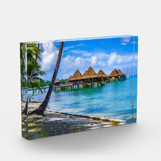 Leben im Wasser Fotoblock (Links)