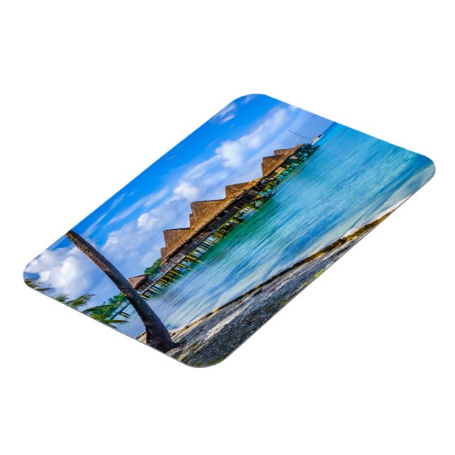 Leben im Wasser Magnet (Linke Seite)