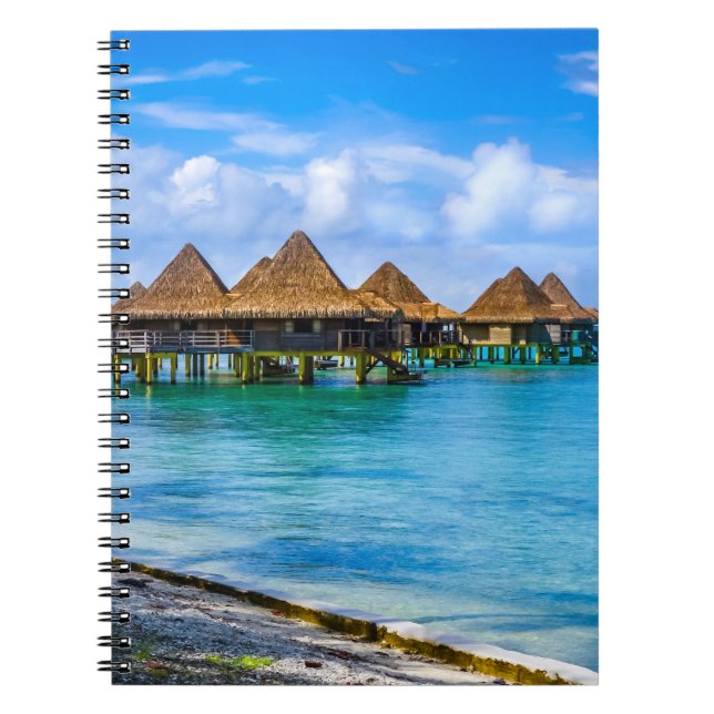 Leben im Wasser Notizblock (Vorderseite)