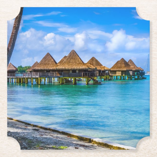 Leben im Wasser Untersetzer (Vorderseite)