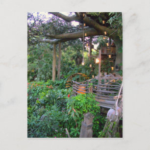 Leben in den Bäumen Postkarte