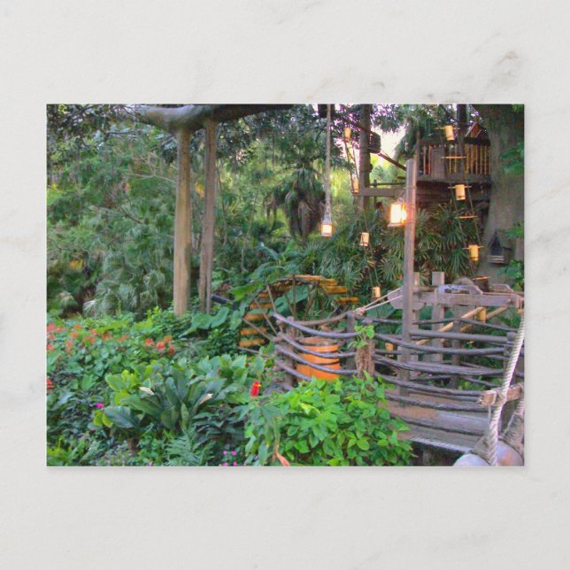 Leben in den Bäumen Postkarte (Vorderseite)