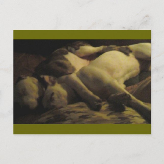 Leben in einem kleinen Paradies Postkarte (Vorderseite)