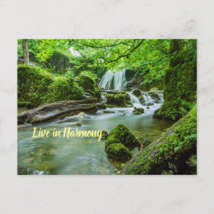 Leben in Harmonie Postkarte