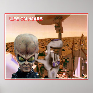 Leben in Mars Poster